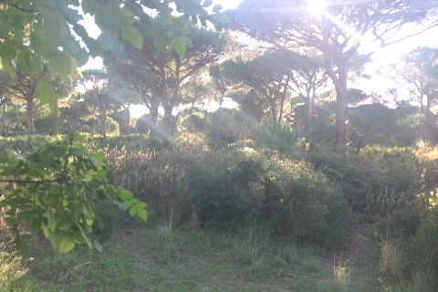 Casa en la playa — photo 3