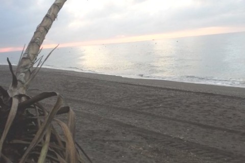 Chalet junto a la playa con piscina privada en la Costa del Sol, proximo a Malaga — photo 12
