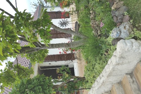 Campagne 50 kmde Paris — photo 2