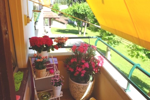 Spacieux appartement à 5 minutes à pieds du lac léman — photo 10