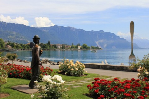 Spacieux appartement à 5 minutes à pieds du lac léman — photo 15