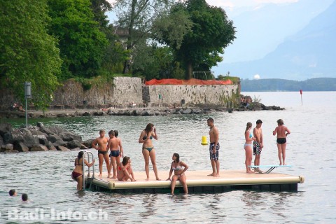 Spacieux appartement à 5 minutes à pieds du lac léman — photo 19