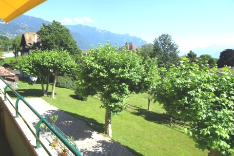 Spacieux appartement à 5 minutes à pieds du lac léman — photo 21