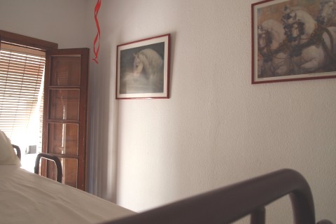 APARTAMENTO EN TRIANA SEVILLA — photo 15