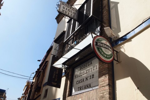 APARTAMENTO EN TRIANA SEVILLA — photo 42