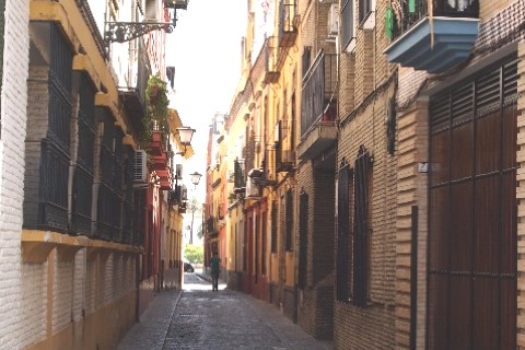 APARTAMENTO EN TRIANA SEVILLA — photo 43