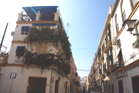 APARTAMENTO EN TRIANA SEVILLA — photo 46