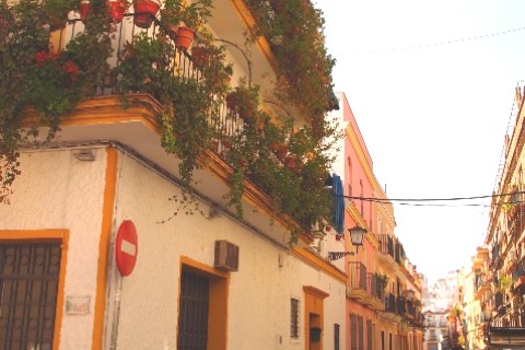 APARTAMENTO EN TRIANA SEVILLA — photo 49