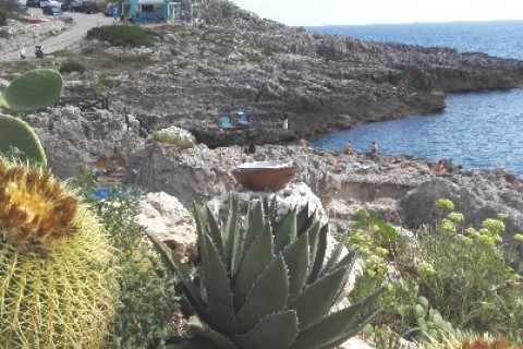 Une maison typique dans le Salento-Italie du sud — photo 13