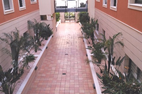 DENIA APARTAMENTO — photo 12