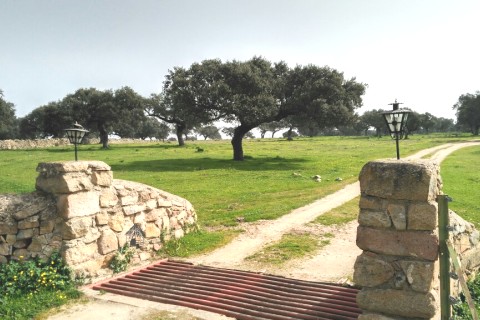 BONITA CASA EN ALMOHARÍN, CÁCERES — photo 17