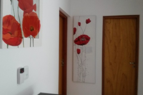 Casa sobre Rio Parana, zona agreste. — photo 26
