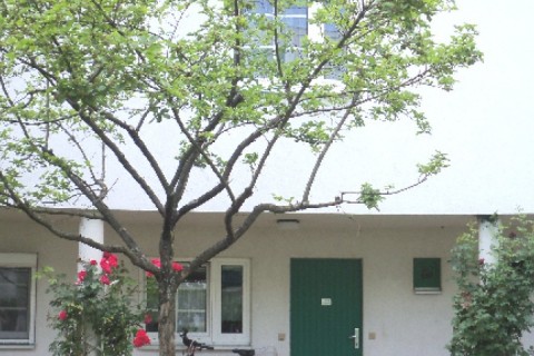 Maisonette en duplex, à Vienne, pr... — photo 3