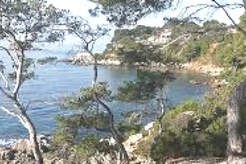 T4 calme, grand balcon avec vis à ... — photo 5