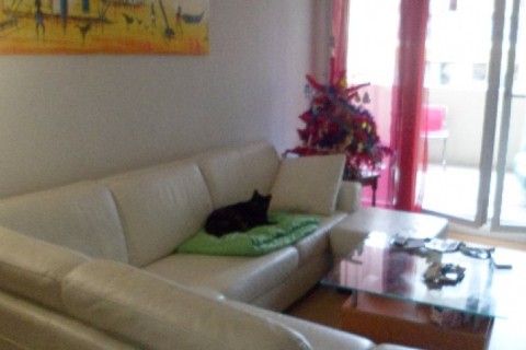 T4 calme, grand balcon avec vis à ... — photo 6