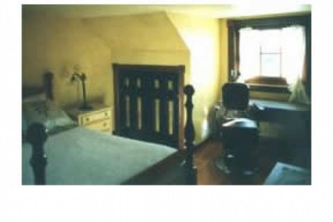 Very private cottage in Rose Bay, N... — photo 3