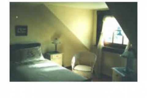 Very private cottage in Rose Bay, N... — photo 4