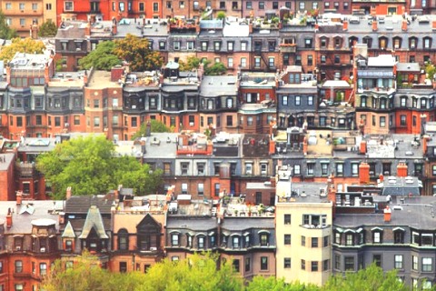 Classic Brooklyn Brownstone — photo 2