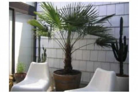 Bel appartement spatieux, lumineux ... — photo 5