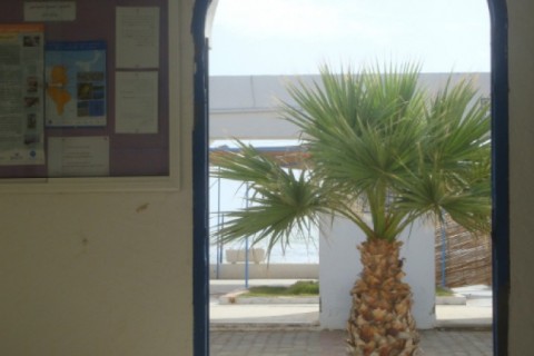 Appartement proche de la plage en Tunisie — photo 9