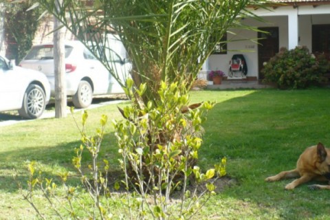 Maison en Argentine — photo 7