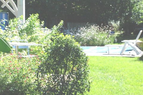 La maison se situe sur un terrain de 2000m2 — photo 2