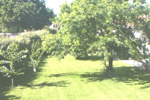 La maison se situe sur un terrain de 2000m2 — photo 3