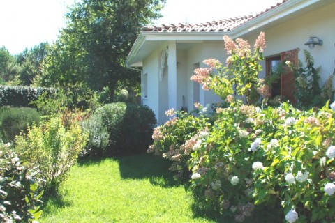 La maison se situe sur un terrain de 2000m2 — photo 5