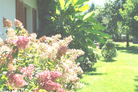 La maison se situe sur un terrain de 2000m2 — photo 6