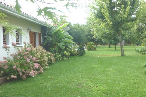 La maison se situe sur un terrain de 2000m2 — photo 8