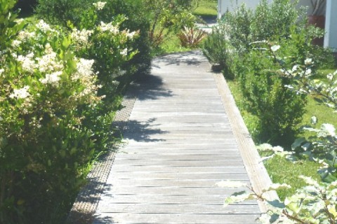La maison se situe sur un terrain de 2000m2 — photo 15