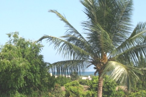 Petit Palais à Manjakuppam, Inde du sud — photo 16
