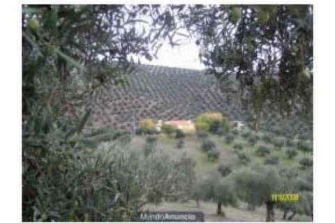 La casa tiene cuatro dormitorios , ... — photo 13