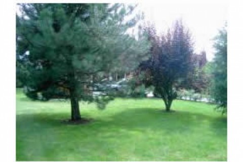 Villa de 173m2 sur 1400m2,a l'oret ... — photo 4