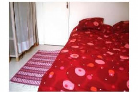 Appartement coquet de 24m2, compos — photo 3
