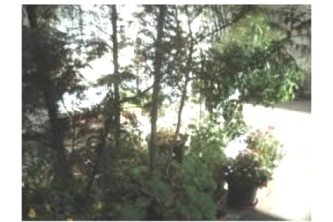 Appartement coquet de 24m2, compos — photo 5