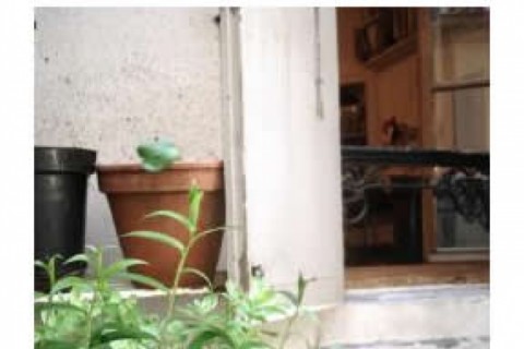 Appartement coquet de 24m2, compos — photo 6