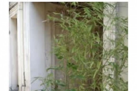 Appartement coquet de 24m2, compos — photo 8