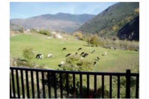 Situado en el pirineo leridano. Dú... — photo 7