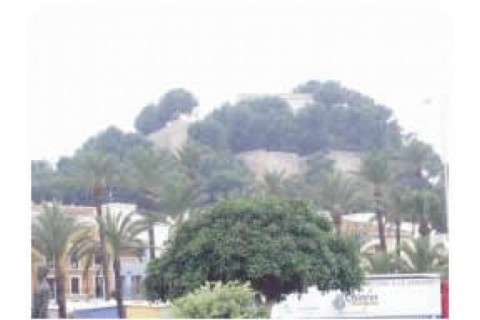 ATICO DUPLEX FRENTE AL MAR EN DENIA... — photo 18