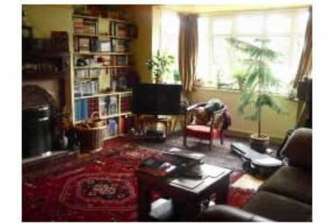 Our house is a lovely light filled ... — photo 3