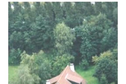 Très belle maison située dans un ... — photo 2