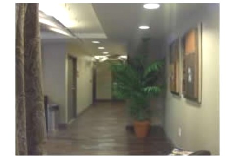 Located Downtown next to King Stree... — photo 9