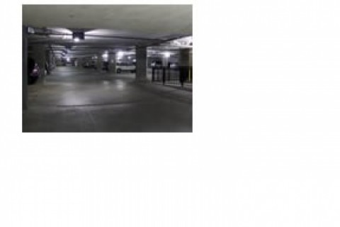 Located Downtown next to King Stree... — photo 10