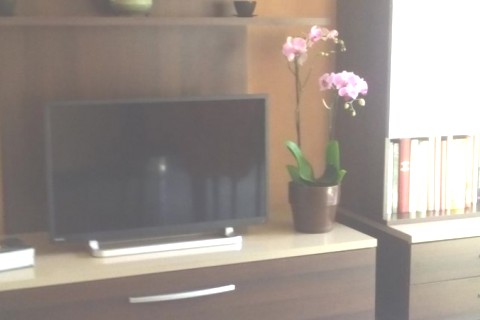 Appartement vallée de Chamonix — photo 7