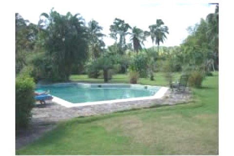 Mansion sur un terrain de 7000M2   ... — photo 6