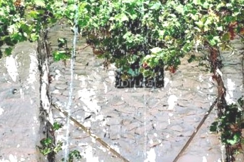 Cortijo is located in southern Spain. Un edén en el sur. — photo 2