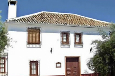 Cortijo is located in southern Spain. Un edén en el sur. — photo 3