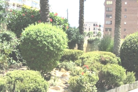 A 50 metros de la playa — photo 21