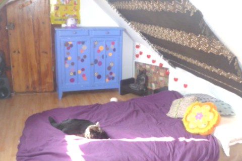 Appartement avec jardin proche de Paris / ouverts à toute proposition en juillet — photo 2